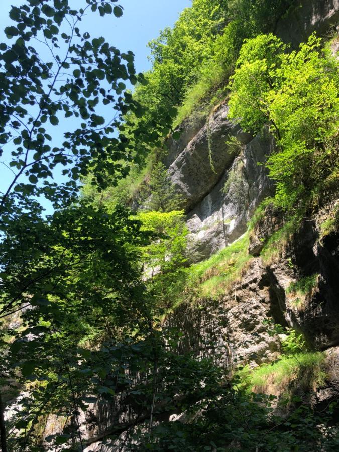 Au Pied Du Vercors Tout Est Permis La Riviere  Exteriör bild