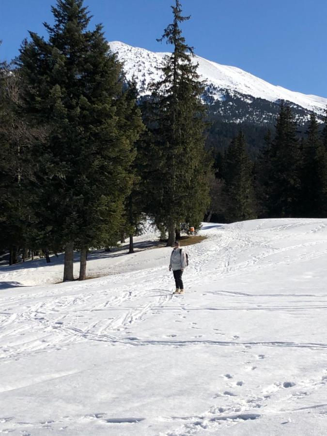Au Pied Du Vercors Tout Est Permis La Riviere  Exteriör bild