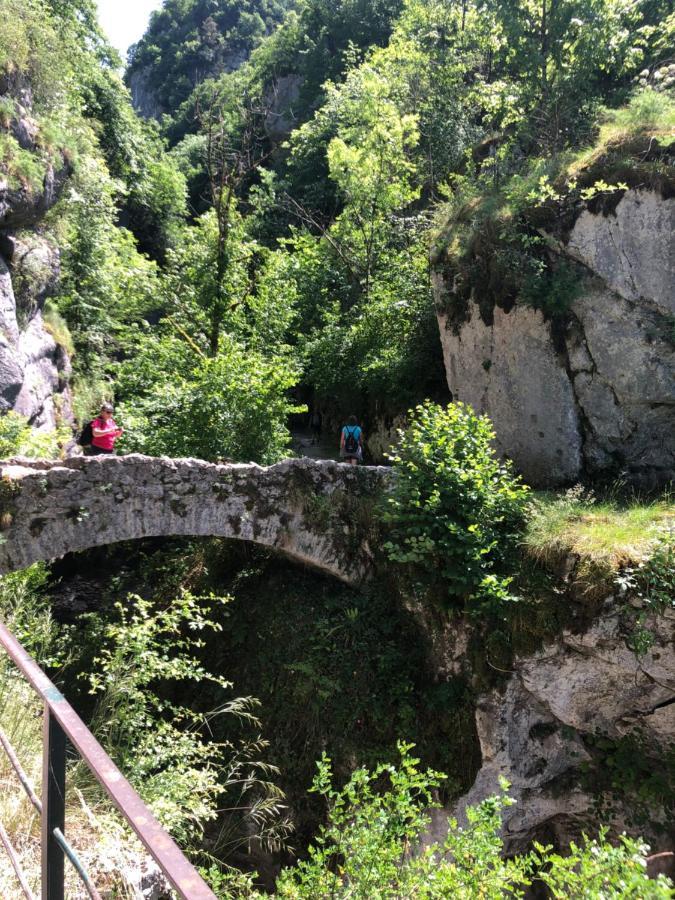 Au Pied Du Vercors Tout Est Permis La Riviere  Exteriör bild